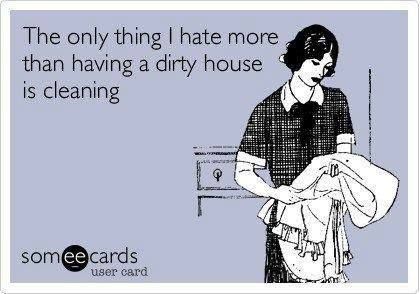 person holding laundry saying "the only thing I hate more than having a dirty house is cleaning"